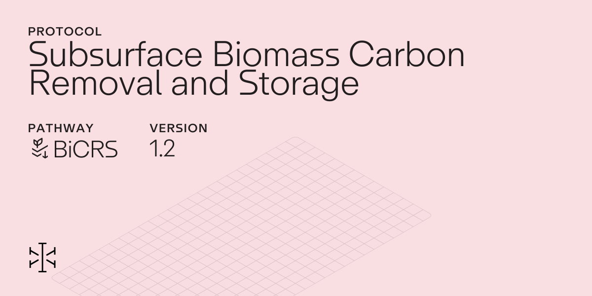 Subsurface Biomass Carbon Removal and Storage v1.2 — Isometric